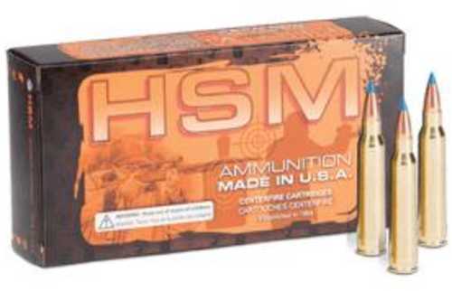 HSM Varmint 6mm Creedmoor 70 Grain Blitzking 20 Rounds